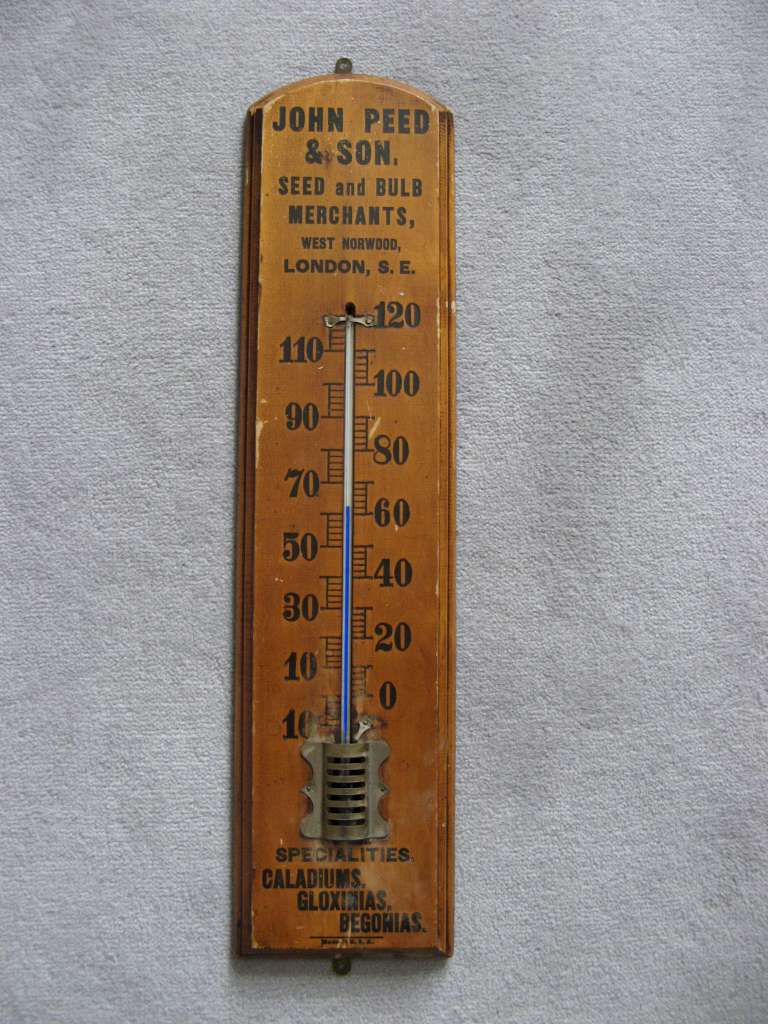 Large old wooden thermometer advertising John Peed seeds