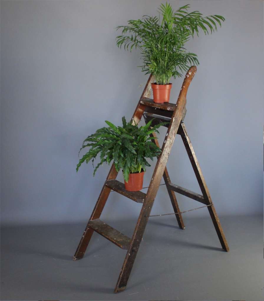 Vintage decorators pitch pine step ladders.