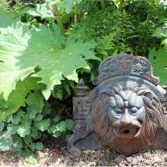antique cast Iron Lions fountain head.